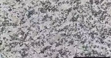威海 芙蓉白（芝麻白大花）火烧面