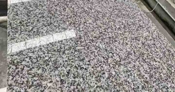 威海 芙蓉白光面