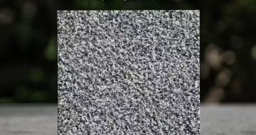 威海 芝麻黑荔枝面