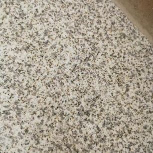 威海 黄金麻中黄光面