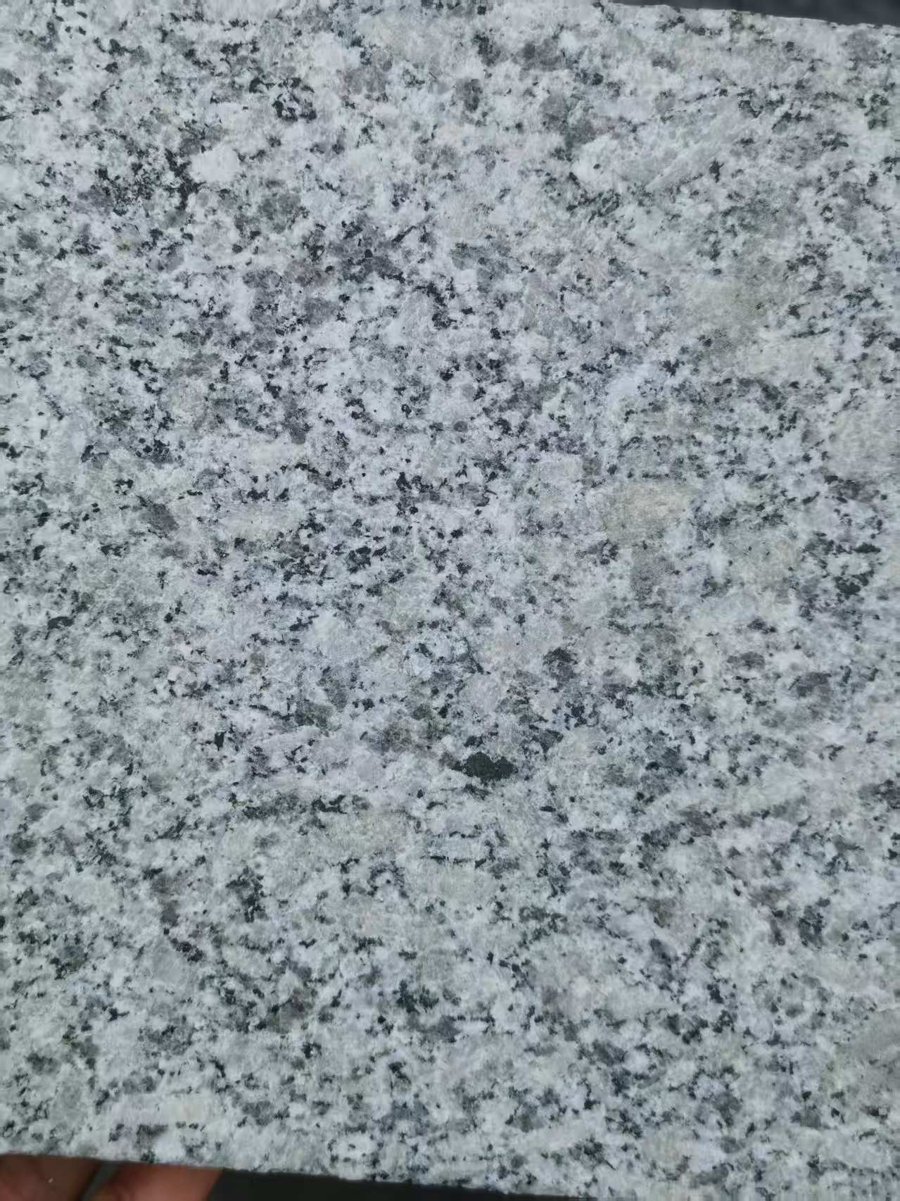 威海 芙蓉白火烧面