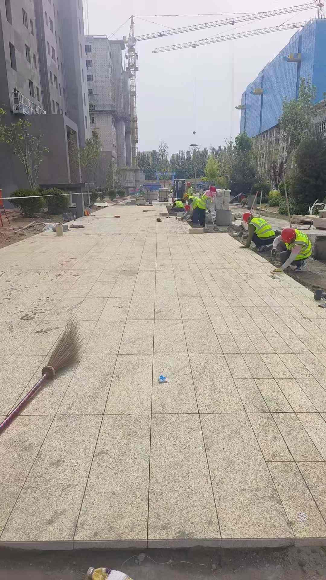 威海黄金麻荔枝面地铺案例