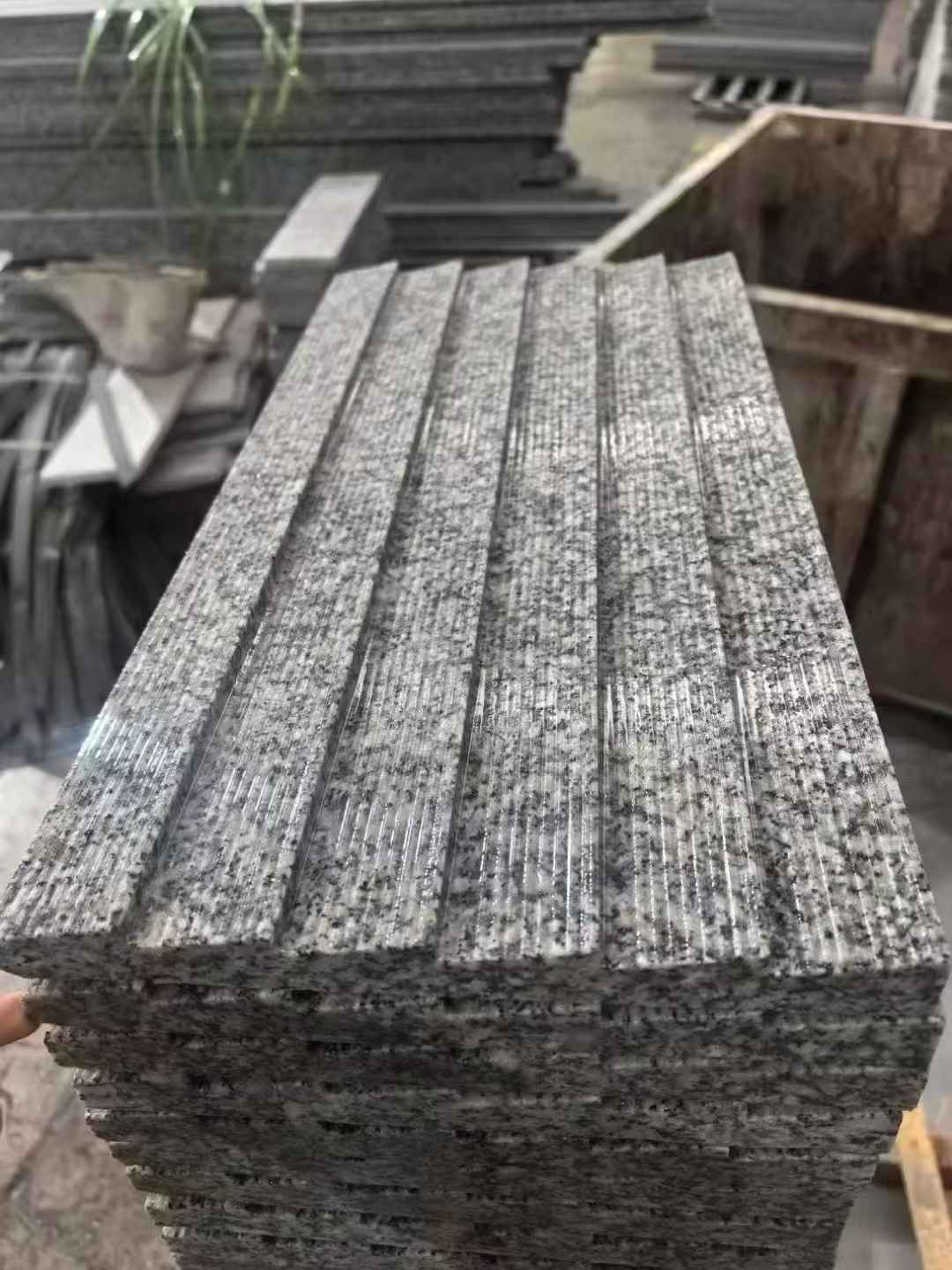 威海 狼牙石
