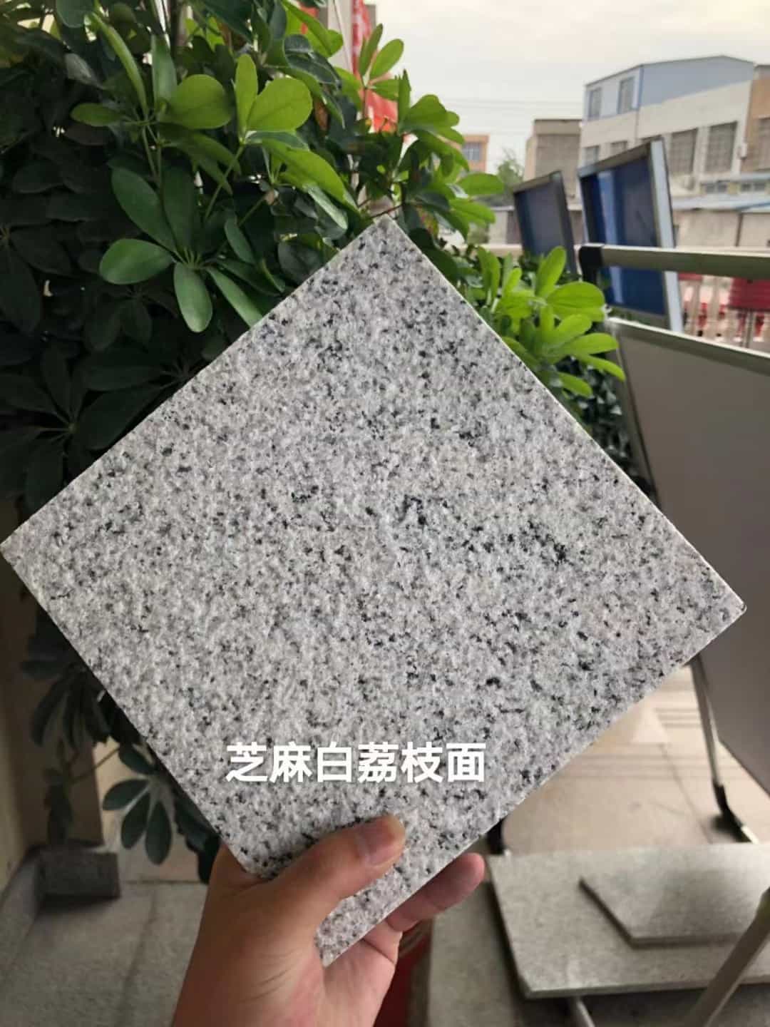 威海 芝麻白荔枝面干挂
