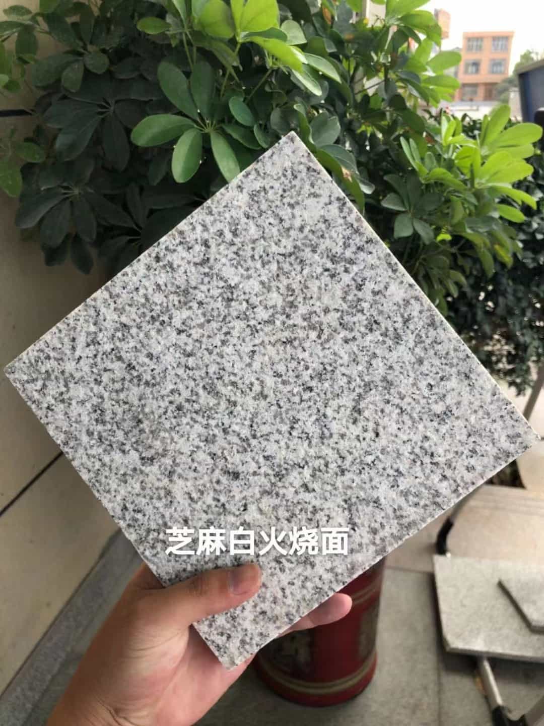 威海芝麻白火烧面地铺