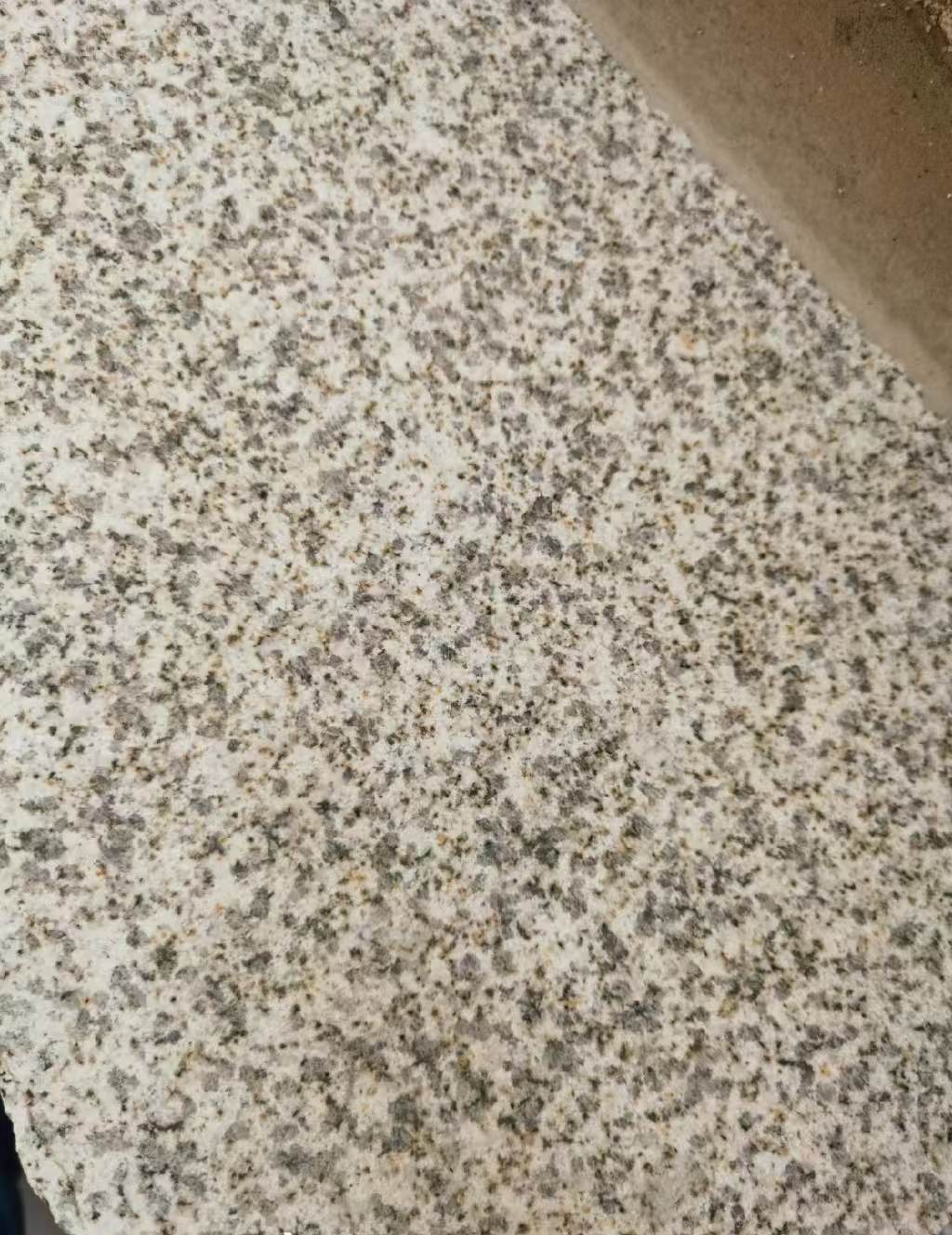 威海 黄金麻中黄光面